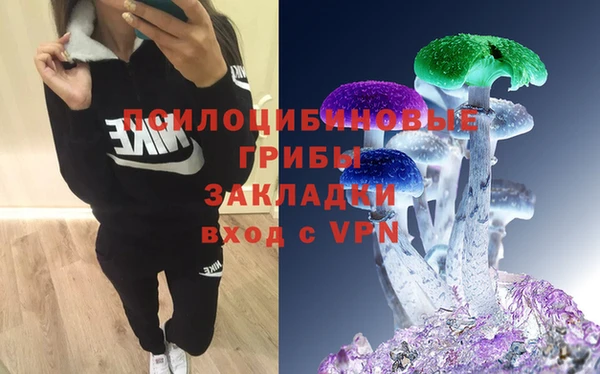 гидра Наволоки