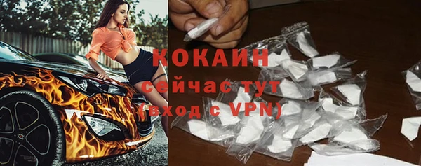 гидра Наволоки