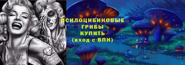 соль ск Надым