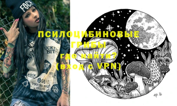 соль ск Надым