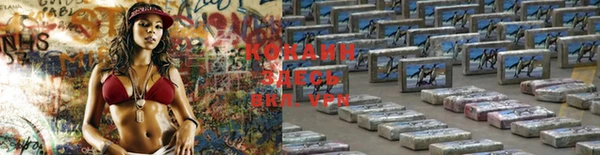 гидра Наволоки