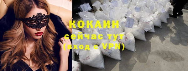 гидра Наволоки